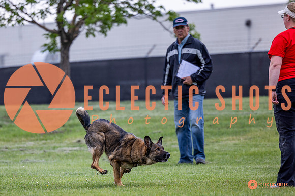 2025-K9Force-MayExams-5439