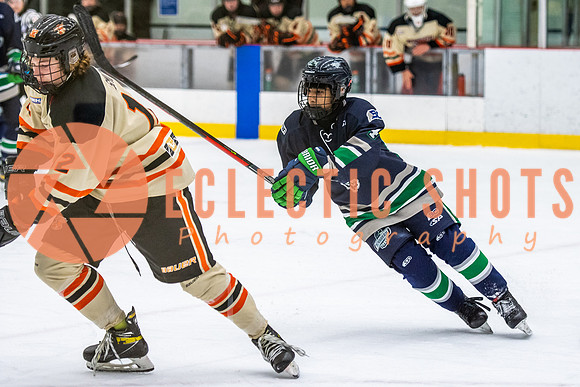 RMC2021-11-12-LloydBobcats-FVT-Birds-6171