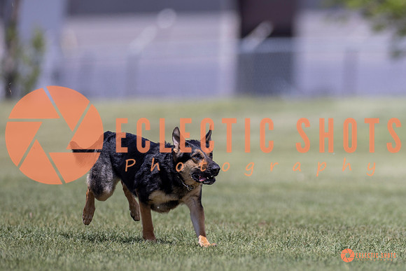 2025-K9Force-MayExams-8076