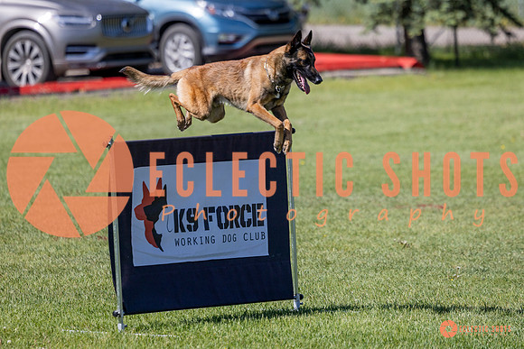 2025-K9Force-MayExams-7313