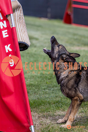 2025-K9Force-MayExams-6878
