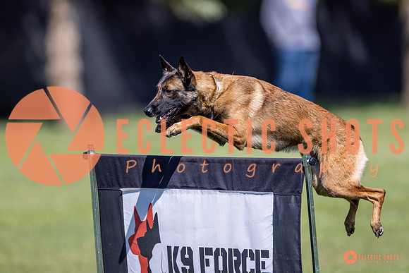 2025-K9Force-MayExams-8212