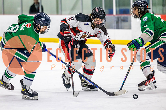 2022.11.11CalBisons-FVTBirds-3952