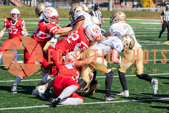 CalgaryColts-9845