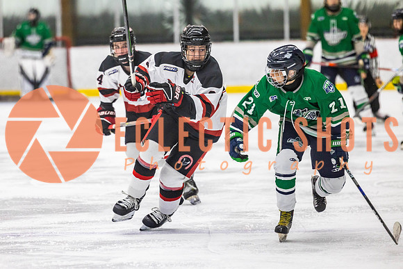 2022.11.11CalBisons-FVTBirds-4054