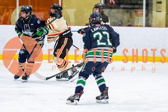 RMC2021-11-12-LloydBobcats-FVT-Birds-6119