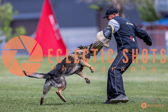 2025-K9Force-MayExams-7759
