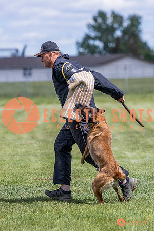2025-K9Force-MayExams-7708