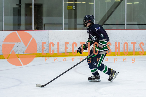RMC2021-11-12-LloydBobcats-FVT-Birds-6182