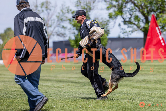 2025-K9Force-MayExams-7238