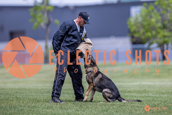 2025-K9Force-MayExams-7806