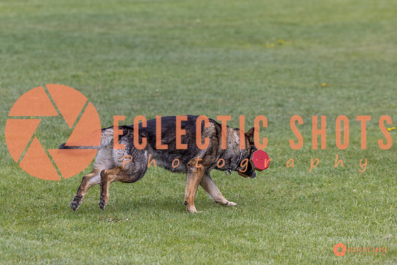 2025-K9Force-MayExams-5870
