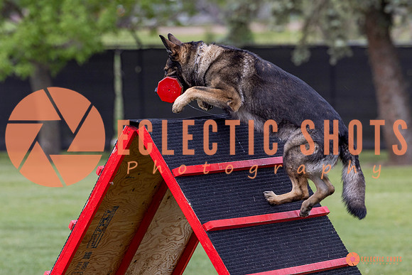 2025-K9Force-MayExams-5939