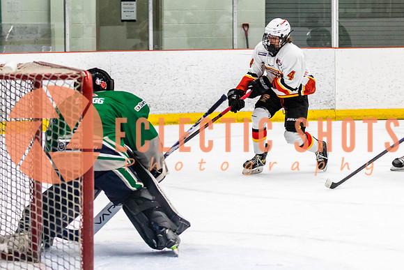 2022.11.09CalFlames-FVTBirds-0403