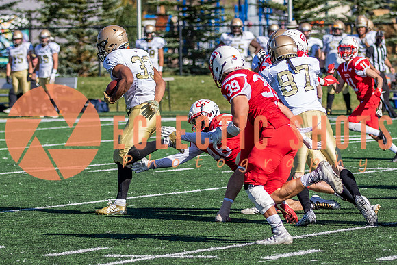 CalgaryColts-0849