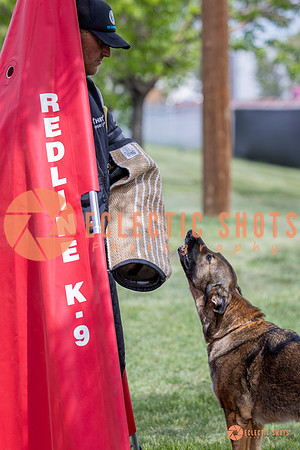 2025-K9Force-MayExams-6352