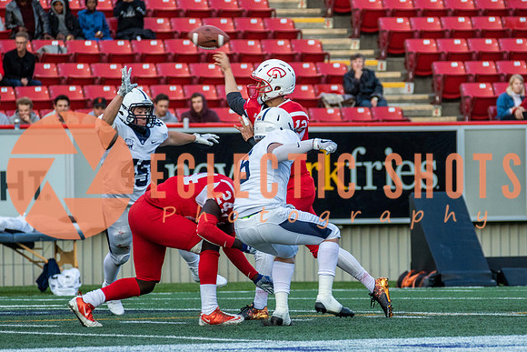 CalgaryColts2018-1067