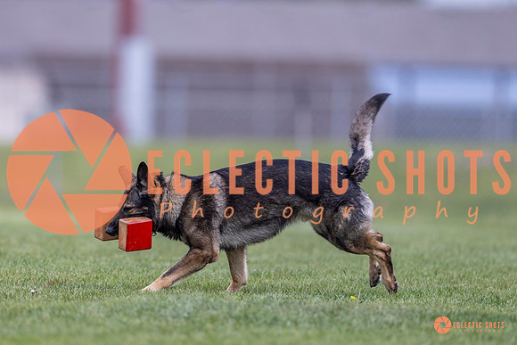 2025-K9Force-MayExams-6624