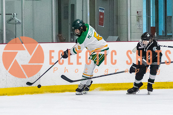 RMC2021-11-14-ShPkFlyers-CalNStars-3040