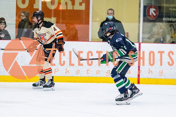 RMC2021-11-12-LloydBobcats-FVT-Birds-6140