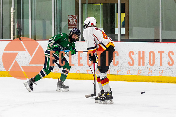 2022.11.09CalFlames-FVTBirds-0302