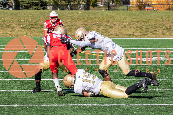 CalgaryColts-1360