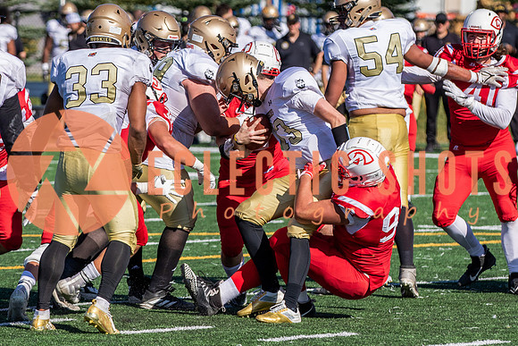 CalgaryColts-1127
