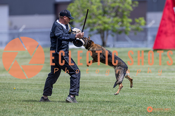 2025-K9Force-MayExams-7349