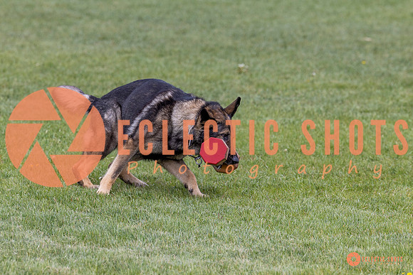 2025-K9Force-MayExams-5859