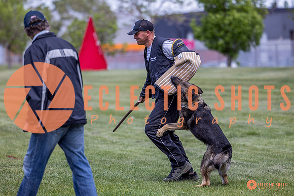 2025-K9Force-MayExams-6954