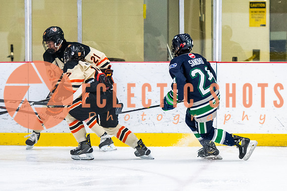 RMC2021-11-12-LloydBobcats-FVT-Birds-6020