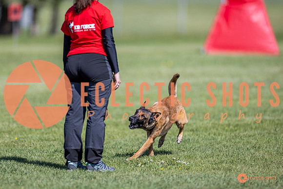 2025-K9Force-MayExams-8223
