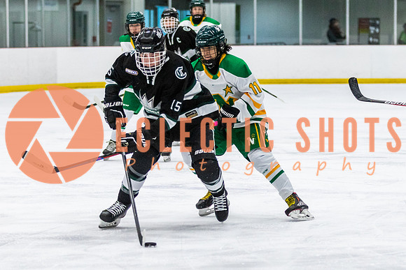 RMC2021-11-14-ShPkFlyers-CalNStars-2856