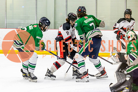 2022.11.11CalBisons-FVTBirds-3967
