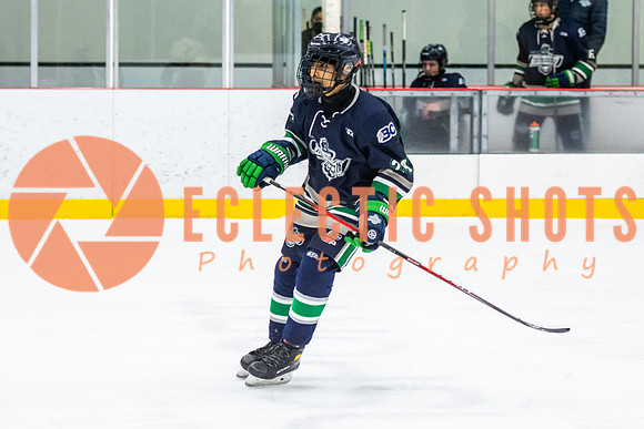 RMC2021-11-12-LloydBobcats-FVT-Birds-6078