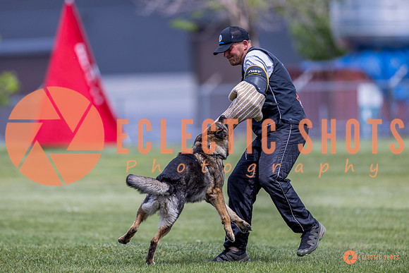 2025-K9Force-MayExams-7756