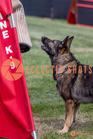 2025-K9Force-MayExams-6885