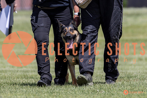 2025-K9Force-MayExams-8030