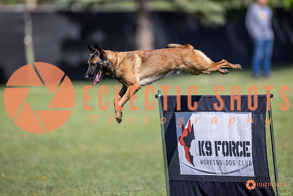 2025-K9Force-MayExams-8216