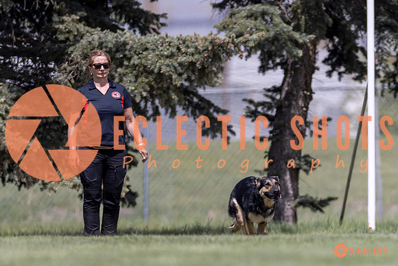 2025-K9Force-MayExams-8040