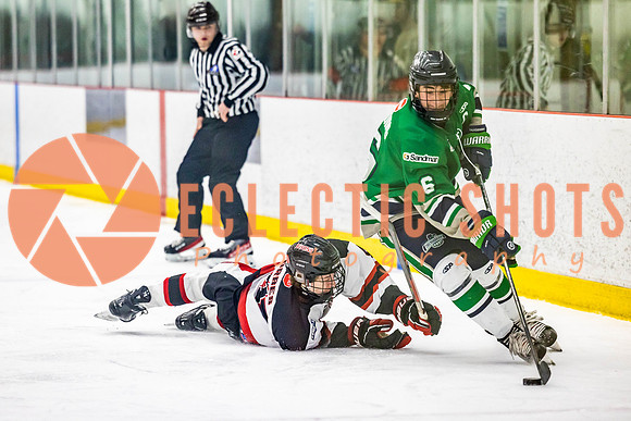 2022.11.11CalBisons-FVTBirds-4086