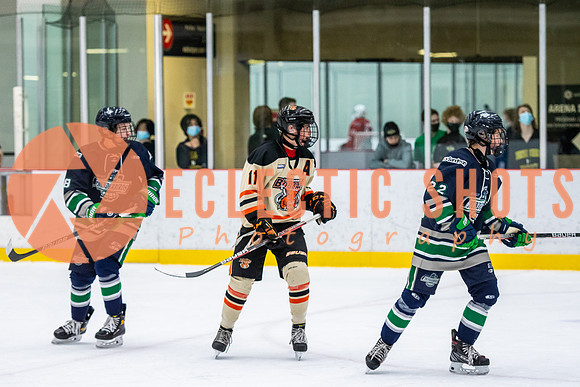 RMC2021-11-12-LloydBobcats-FVT-Birds-6175