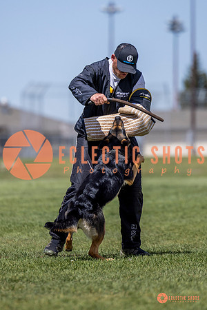 2025-K9Force-MayExams-7279