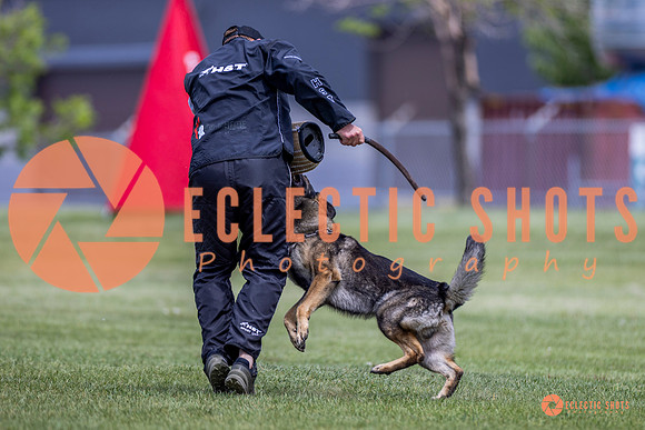 2025-K9Force-MayExams-7784