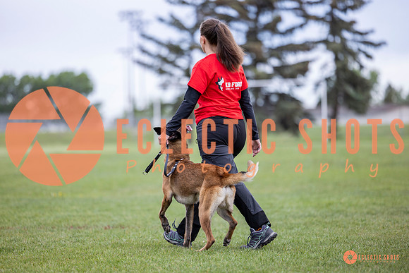 2025-K9Force-MayExams-5355