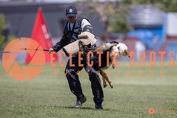 2025-K9Force-MayExams-8099