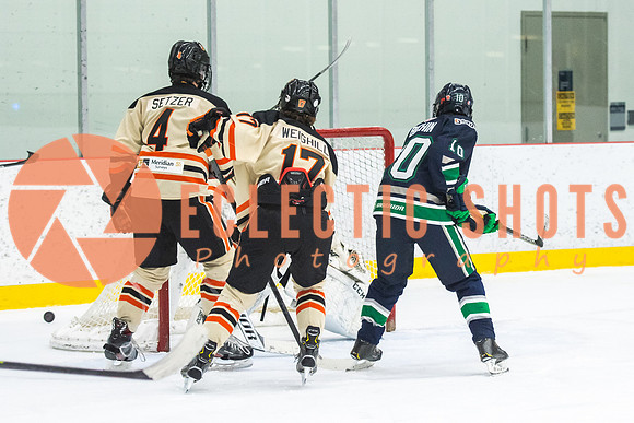 RMC2021-11-12-LloydBobcats-FVT-Birds-6099
