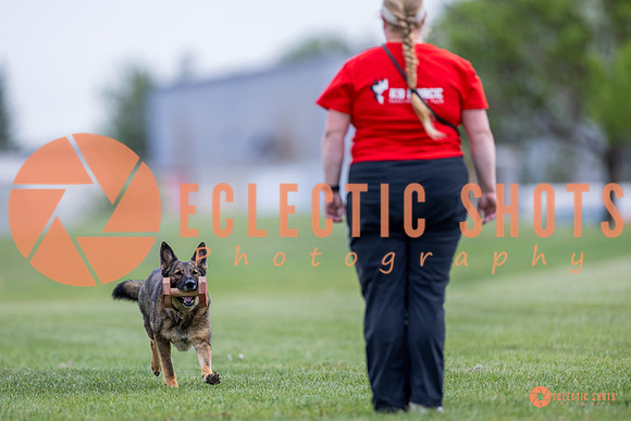 2025-K9Force-MayExams-6139