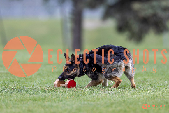 2025-K9Force-MayExams-6321