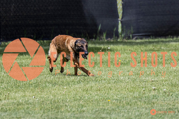2025-K9Force-MayExams-7650
